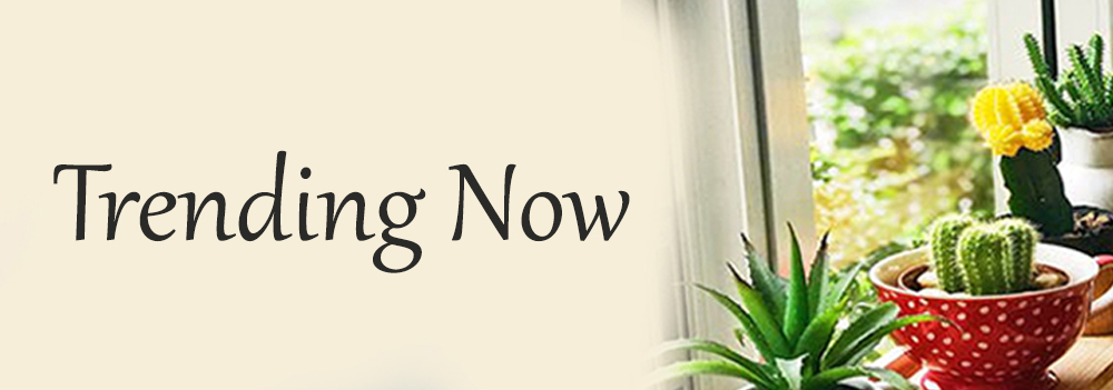 Trending-Now Banner Image